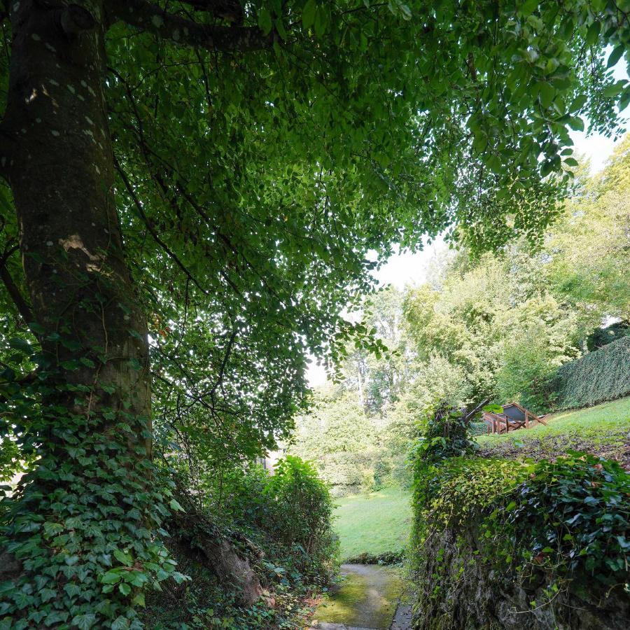 Les Terrasses des Falizes B&B Rochefort Extérieur photo